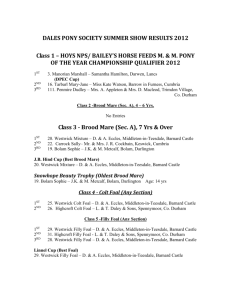 DALES PONY SOCIETY SUMMER SHOW RESULTS 2004