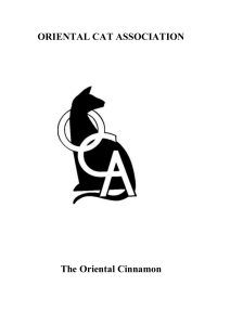 The Oriental Cinnamon - Oriental Cat Association