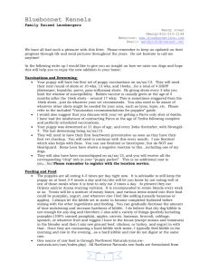 Puppy Vaccination and Care Sheet (2015 Sample)