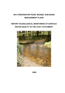 Licky Macroinvertebrate Report