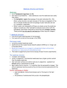 Membrane Structure and Function