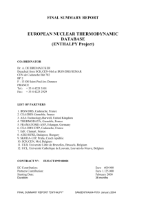 Final Summary Report, European Nuclear