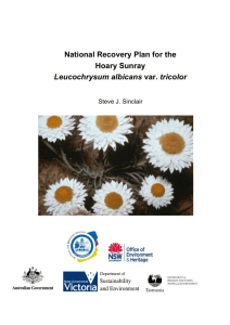 National Recovery Plan for the Hoary Sunray Leucochrysum