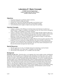 Laboratory # 1 Basic Concepts