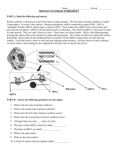 PROTEIN SYNTHESIS WORKSHEET