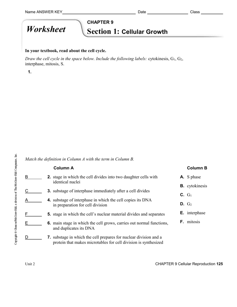 Ch. 22 Worksheet Answer Key With Cell Reproduction Worksheet Answers