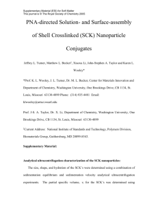 (SCK) Nanoparticle Conjugates