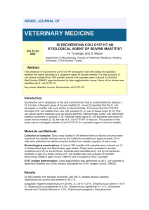 is escherichia coli o157:h7 an etiological agent of bovine mastitis?