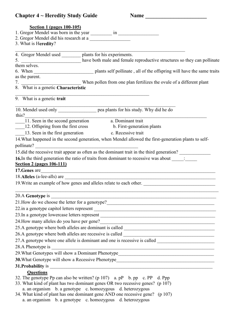 Chapter 4 Heredity Study Guide Chapter 4 Heredity Study Guide