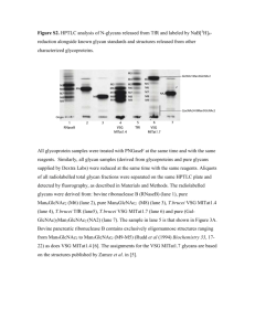 Figure S2. HPTLC analysis of N-glycans released from TfR and