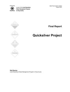 Quicksilver Project Final Report
