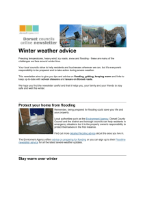 Winter weather advice - Pimperne Parish Council