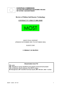 Review of Molten Salt Reactor Technology