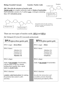 Biology Essential Concepts Genetics: Nucleic Acids
