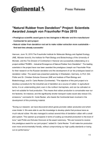Press Release "Natural Rubber from Dandelion" Project: Scientists