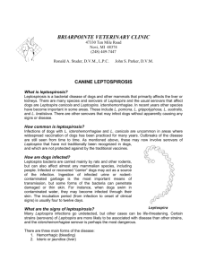CANINE LEPTOSPIROSIS - Briarpointe Veterinary Clinic
