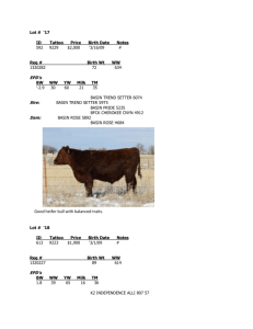 Lot # `17 - K2 Red Angus