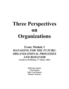 Three Perspectives on Organizations