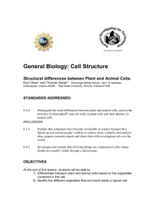 General Biology: Cell Structure