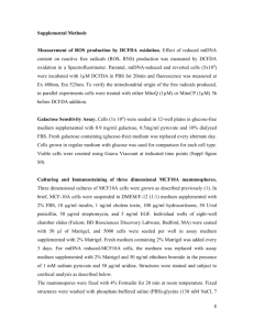 Supplementary Materials (doc 48K)