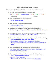 Ch. 9 - Photosynthesis Review Worksheet Use your knowledge of