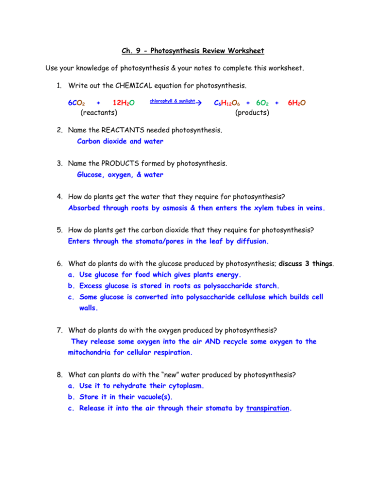 what is photosynthesis worksheet answers