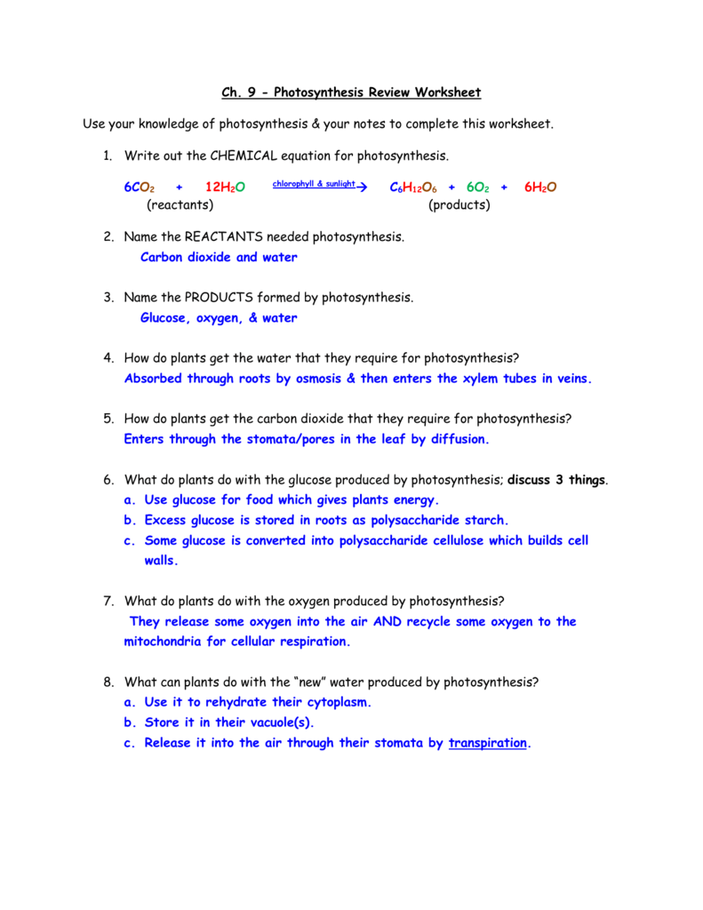 Ch 9 Photosynthesis Review Worksheet Use Your Knowledge Of