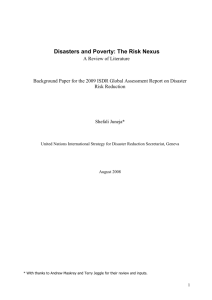 The Disaster Risk-Poverty Nexus