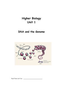 DNA and the Genome