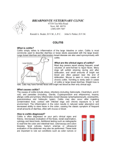 Colitis - Briarpointe Veterinary Clinic