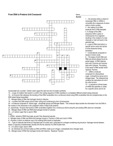 From DNA to Proteins Unit Crossword