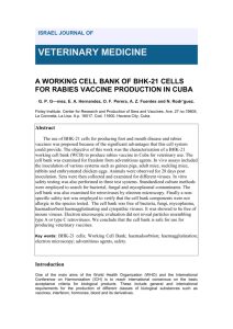 a working cell bank of bhk-21 cells for rabies vaccine production in