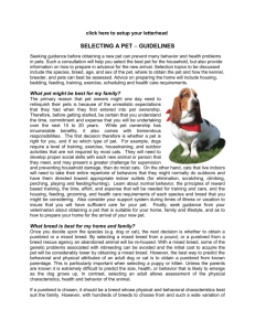 Pet Selection - Guidelines