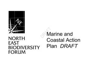 Draft Marine and Coastal Action Plan