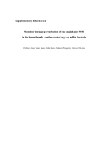 Mutation-induced perturbation of the special pair P840 in