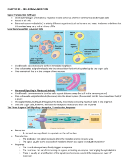 Cell Communication Worksheet