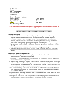 & Print Form - Stapleton Veterinary Hospital