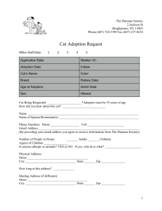 Cat Adoption Request