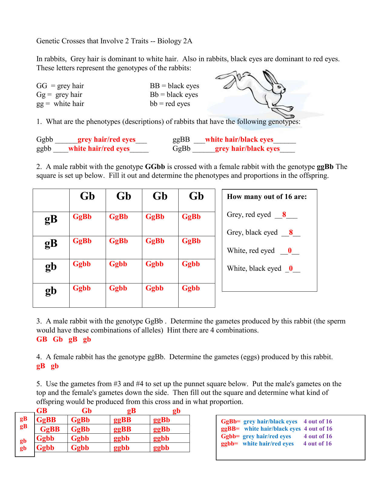 Crosses That Involve 2 Traits Answer