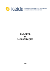 Mozambique Bio-Fuel Industries (MBFI)
