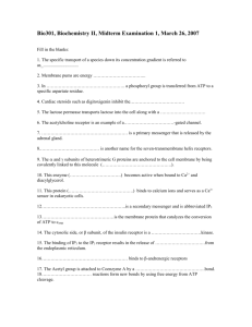 BIO-302 Midterm 1 2007