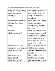 Cell Processes: Photosynthesis & Respiration Flash Cards