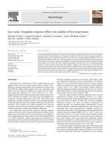 Face value: Amygdala response reflects the validity of first impressions