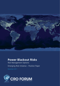 Power Blackout Risks