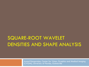 SQUARE-ROOT WAVELET DENSITIES AND SHAPE ANALYSIS