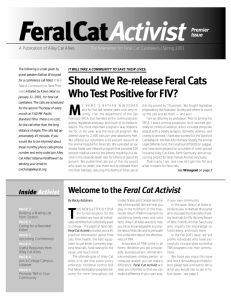 Premier Issue - Should We Re-release Feral Cats Who Test Positive