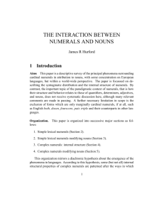 the interaction between numerals and nouns