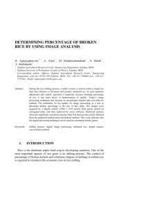 Determining Percentage of Broken Rice by Using Image Analysis.