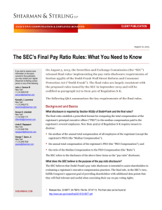 The SEC`s Final Pay Ratio Rules: What You Need to Know