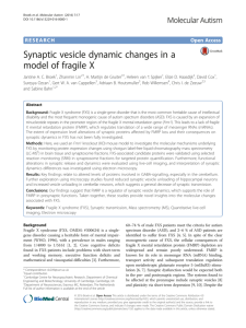Synaptic vesicle dynamic changes in a model of